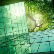 Prédio de vidro espelhado com no topo uma árvore para ilustrar o conceito de o que é ESG